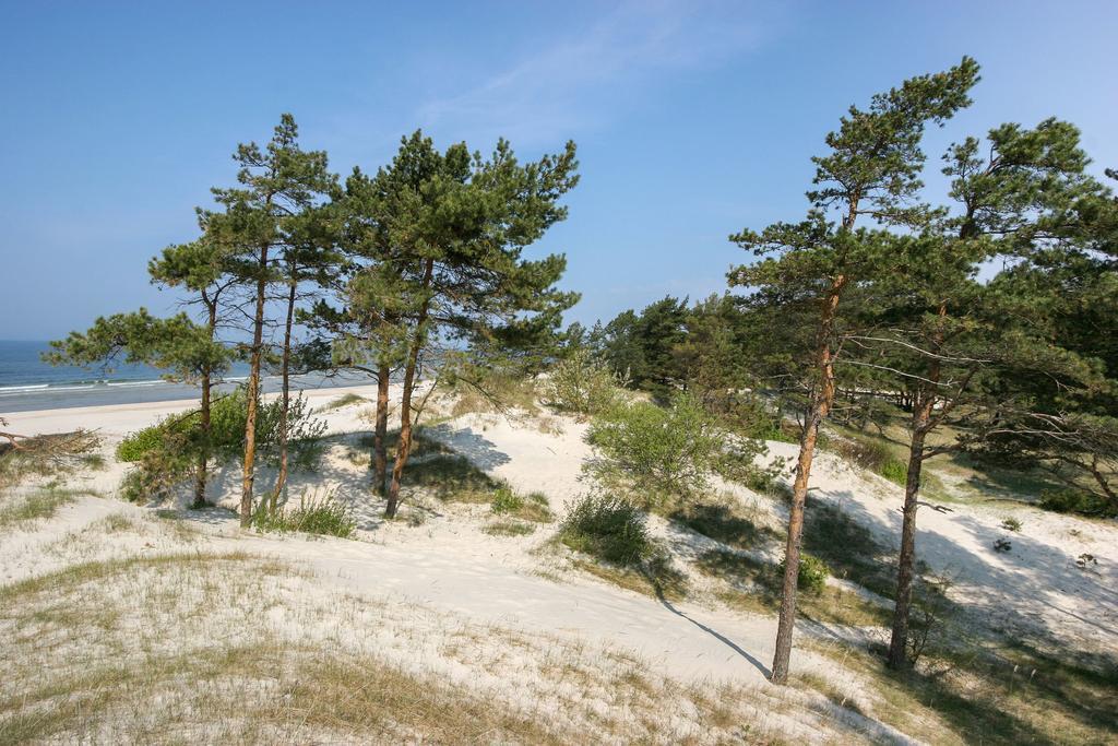 Vila Medus Palanga Luaran gambar
