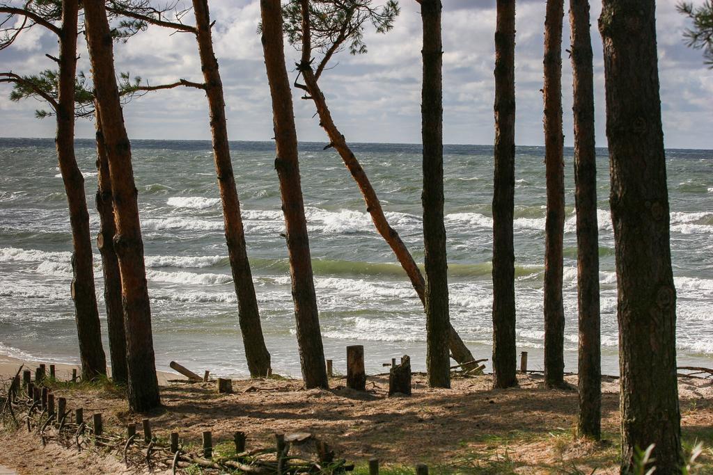 Vila Medus Palanga Luaran gambar