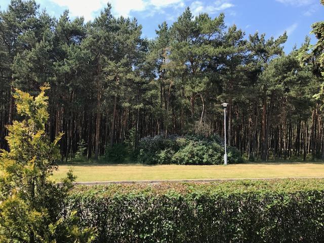 Vila Medus Palanga Luaran gambar